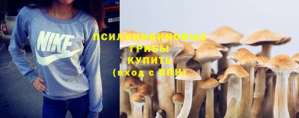стафф Пестово
