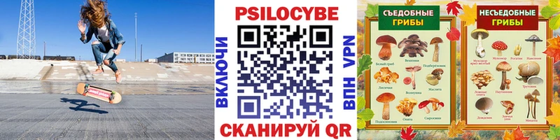 Купить  Барнаул  Псилоцибиновые грибы Cubensis 